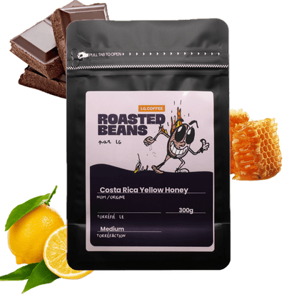 Costa Rica Yellow Honey - LG's coffee