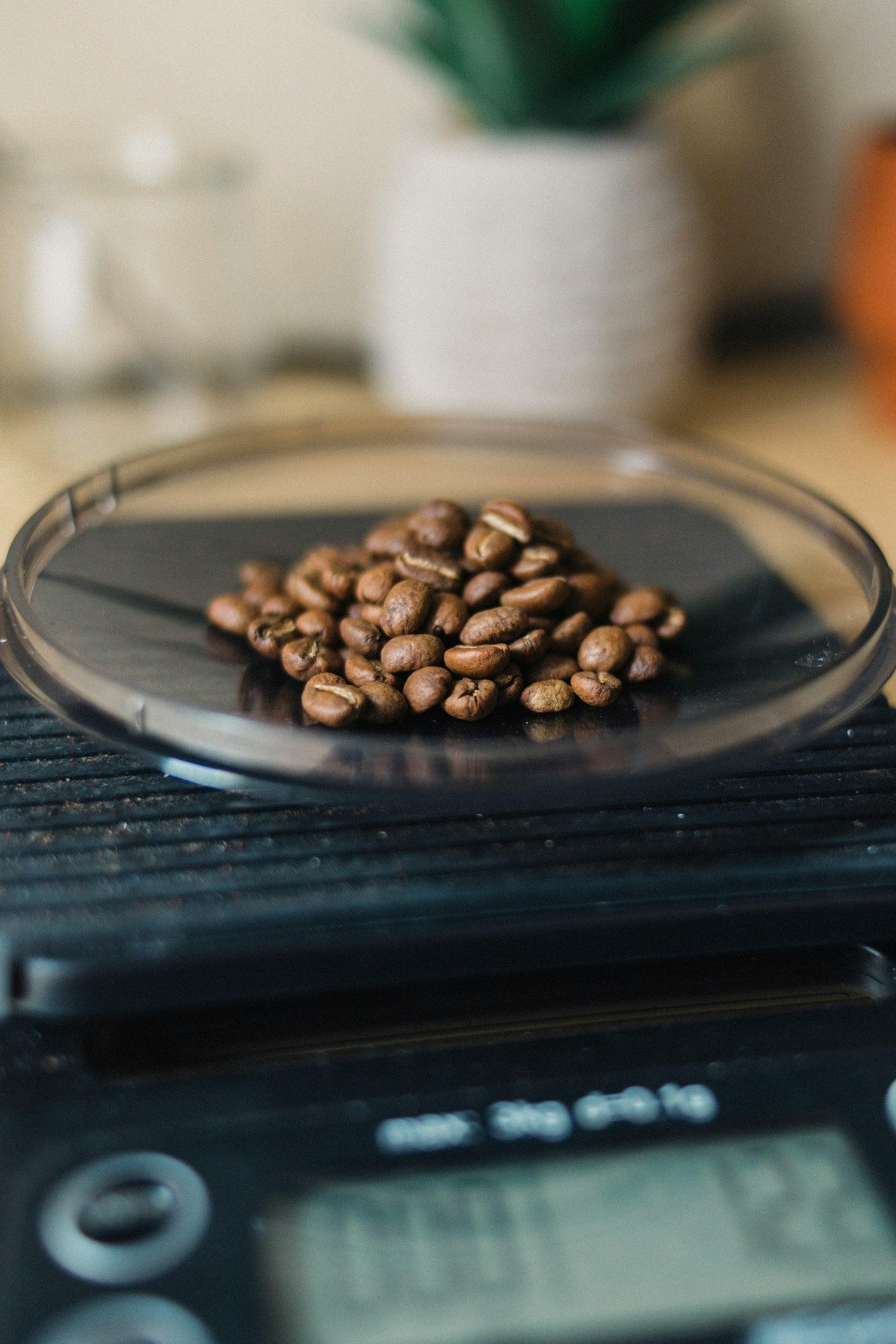 coffee-scale-weight-preparations-beans - LG's coffee